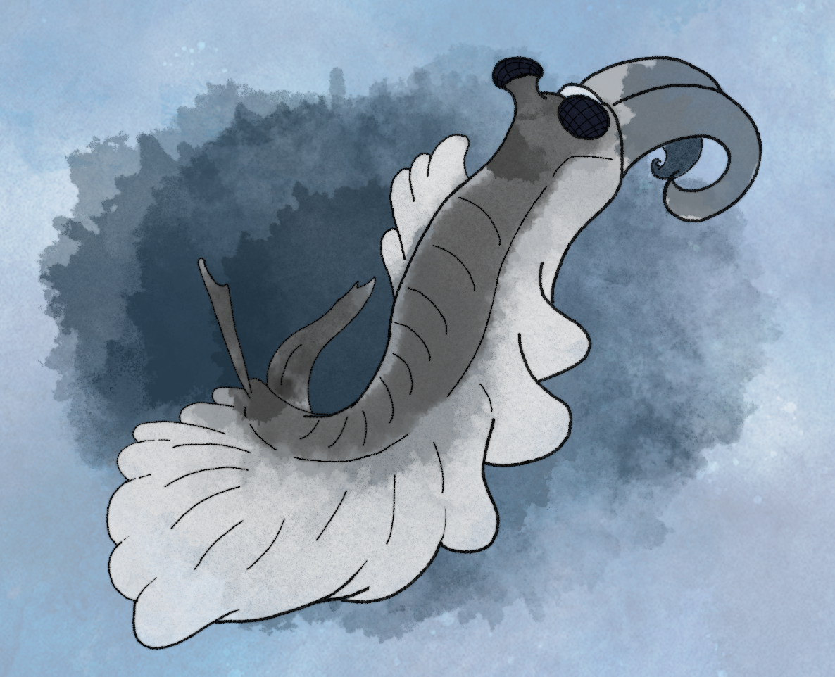 Anomalocaris